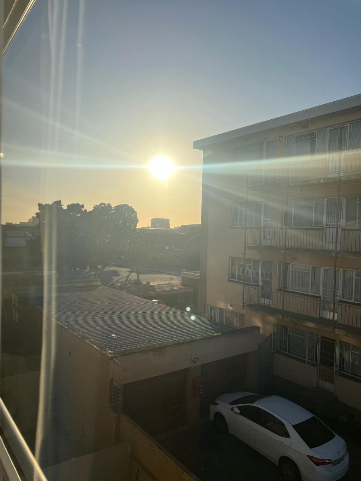 Parow Palms *